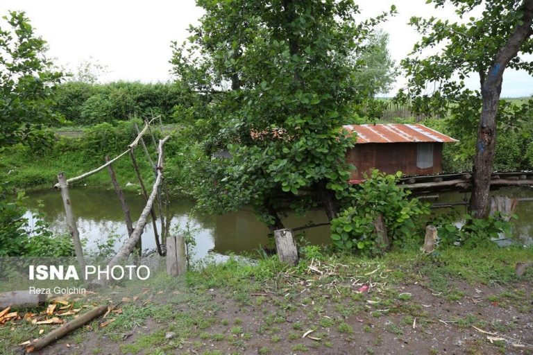 خمام؛ نگینی سرسبز با قدمتی دیرینه در دل جنگل‌های هیرکانی